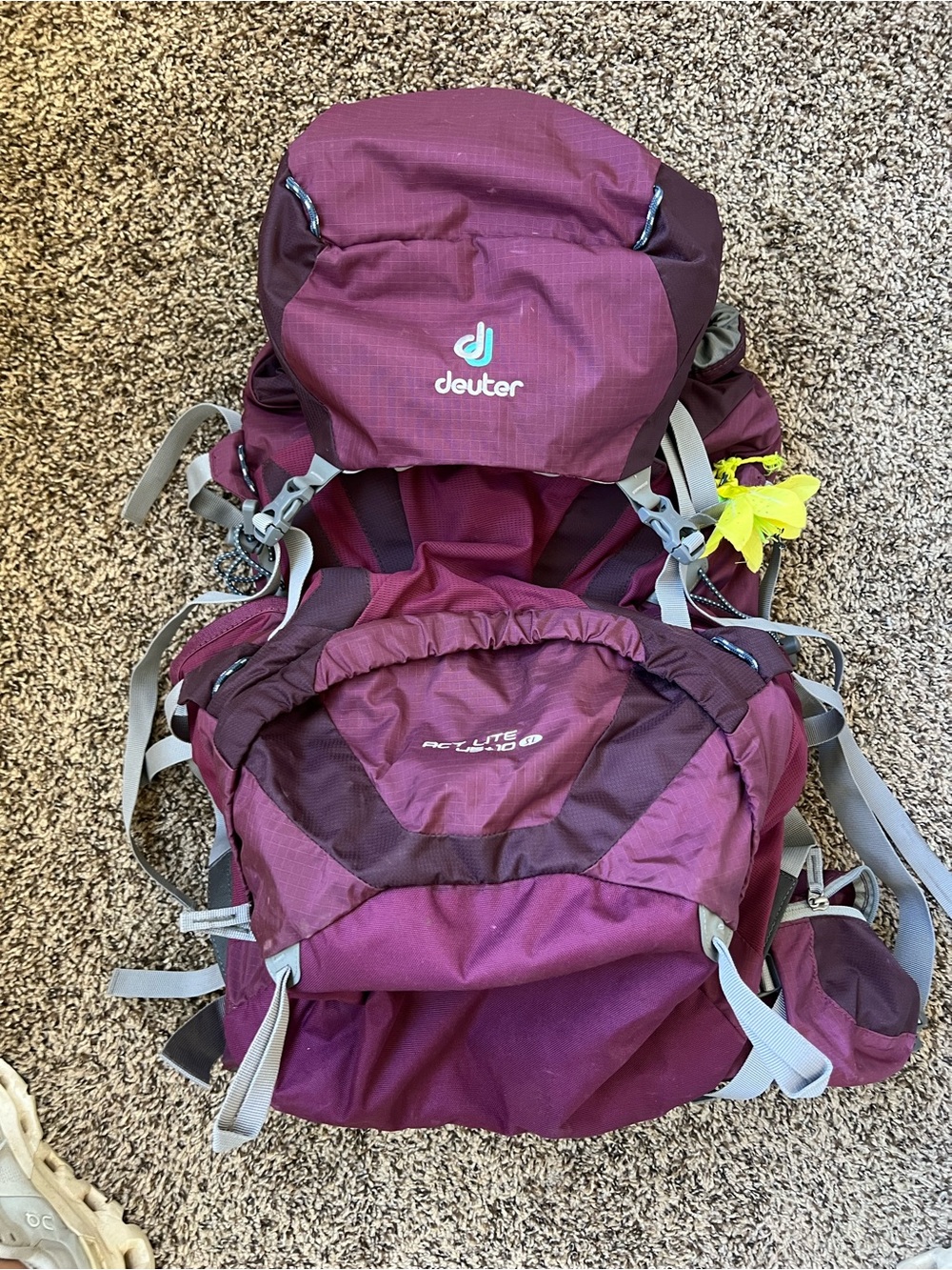 Deuter Woman’s Backpacking Backpack